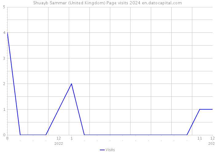 Shuayb Sammar (United Kingdom) Page visits 2024 