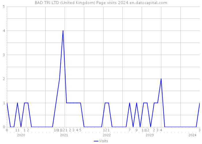 BAD TRI LTD (United Kingdom) Page visits 2024 
