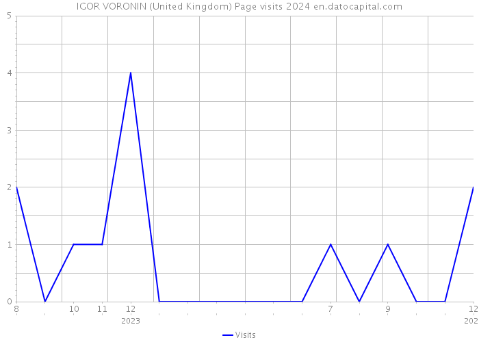 IGOR VORONIN (United Kingdom) Page visits 2024 