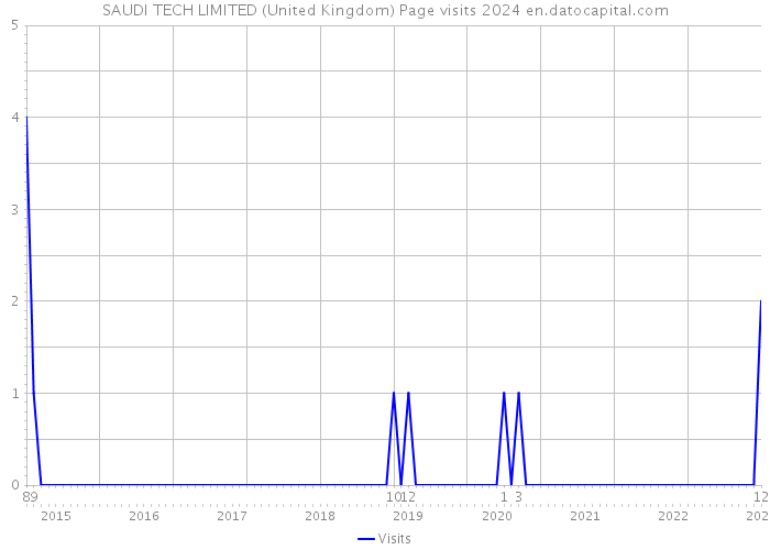 SAUDI TECH LIMITED (United Kingdom) Page visits 2024 