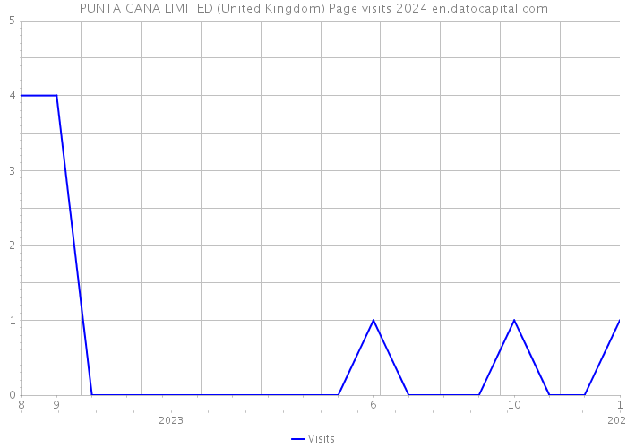 PUNTA CANA LIMITED (United Kingdom) Page visits 2024 