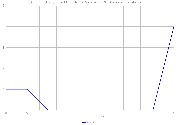 AUREL GJUZI (United Kingdom) Page visits 2024 