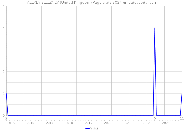 ALEXEY SELEZNEV (United Kingdom) Page visits 2024 