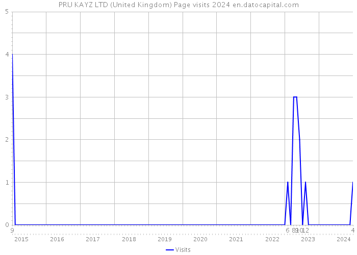 PRU KAYZ LTD (United Kingdom) Page visits 2024 