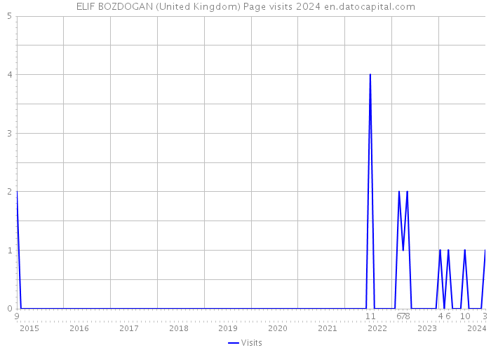 ELIF BOZDOGAN (United Kingdom) Page visits 2024 