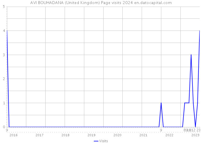 AVI BOUHADANA (United Kingdom) Page visits 2024 