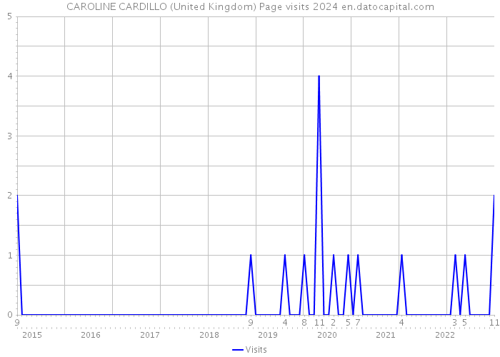 CAROLINE CARDILLO (United Kingdom) Page visits 2024 