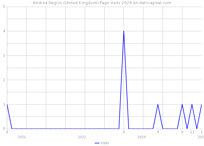Andrea Negrin (United Kingdom) Page visits 2024 