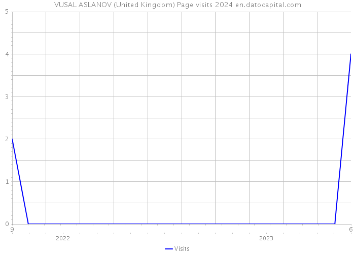 VUSAL ASLANOV (United Kingdom) Page visits 2024 