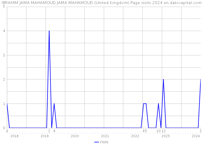 IBRAHIM JAMA MAHAMOUD JAMA MAHAMOUD (United Kingdom) Page visits 2024 