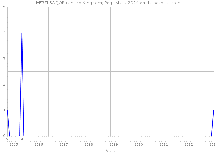 HERZI BOQOR (United Kingdom) Page visits 2024 