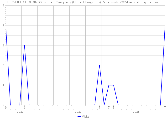 FERNFIELD HOLDINGS Limited Company (United Kingdom) Page visits 2024 