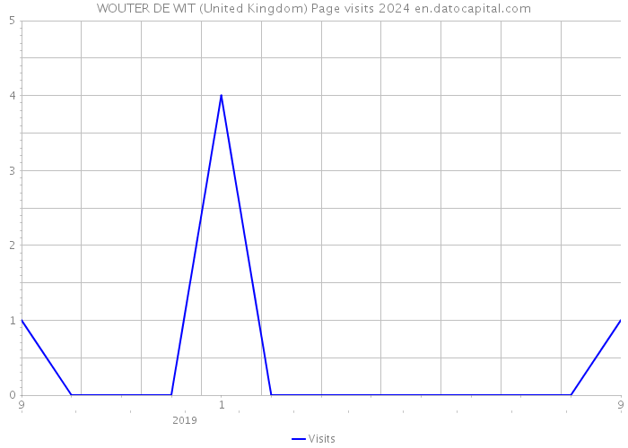 WOUTER DE WIT (United Kingdom) Page visits 2024 
