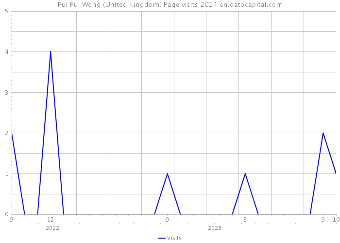 Pui Pui Wong (United Kingdom) Page visits 2024 