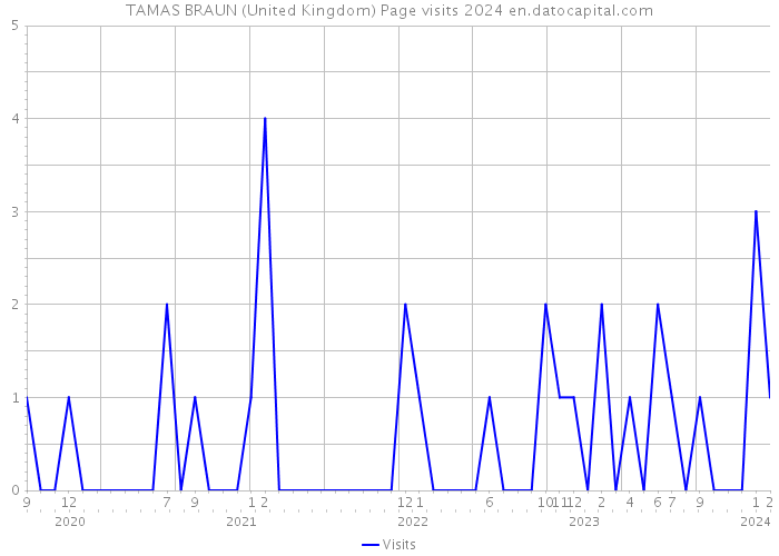 TAMAS BRAUN (United Kingdom) Page visits 2024 