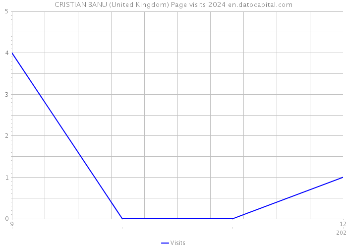 CRISTIAN BANU (United Kingdom) Page visits 2024 