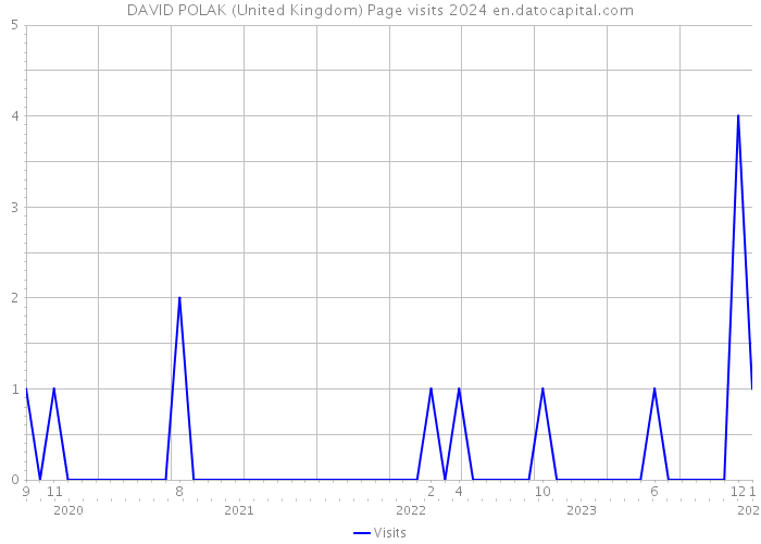 DAVID POLAK (United Kingdom) Page visits 2024 