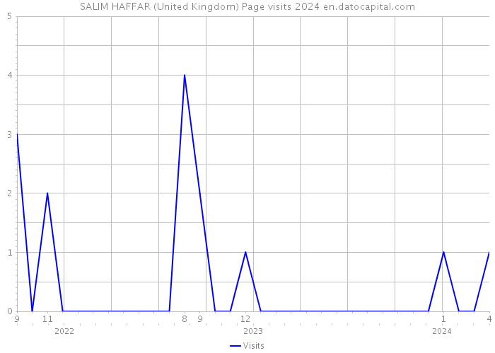SALIM HAFFAR (United Kingdom) Page visits 2024 