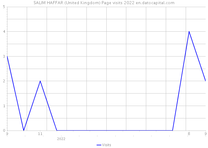 SALIM HAFFAR (United Kingdom) Page visits 2022 