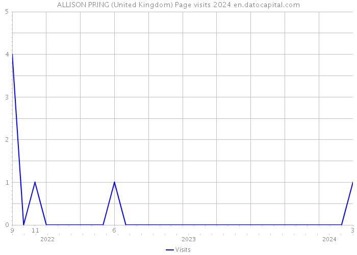 ALLISON PRING (United Kingdom) Page visits 2024 