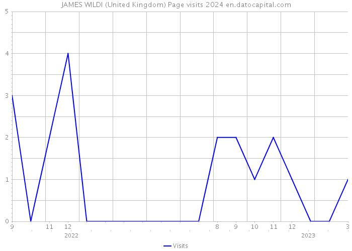 JAMES WILDI (United Kingdom) Page visits 2024 