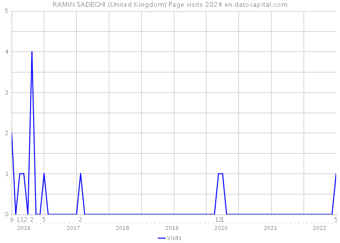 RAMIN SADEGHI (United Kingdom) Page visits 2024 
