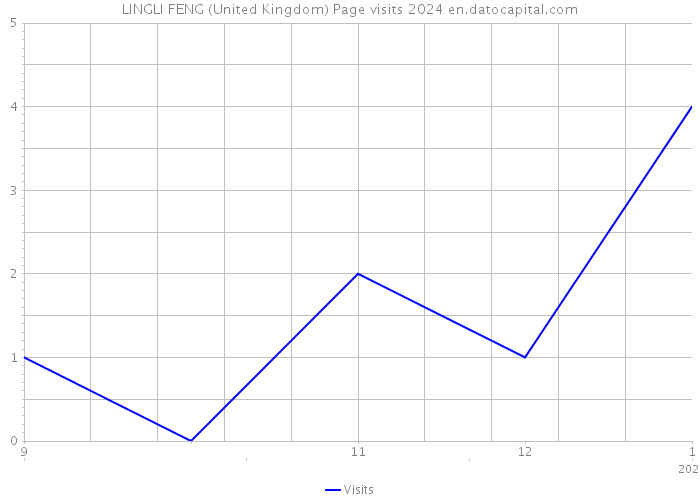 LINGLI FENG (United Kingdom) Page visits 2024 