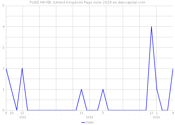 FUAD HAYEK (United Kingdom) Page visits 2024 