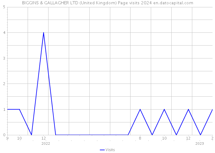 BIGGINS & GALLAGHER LTD (United Kingdom) Page visits 2024 