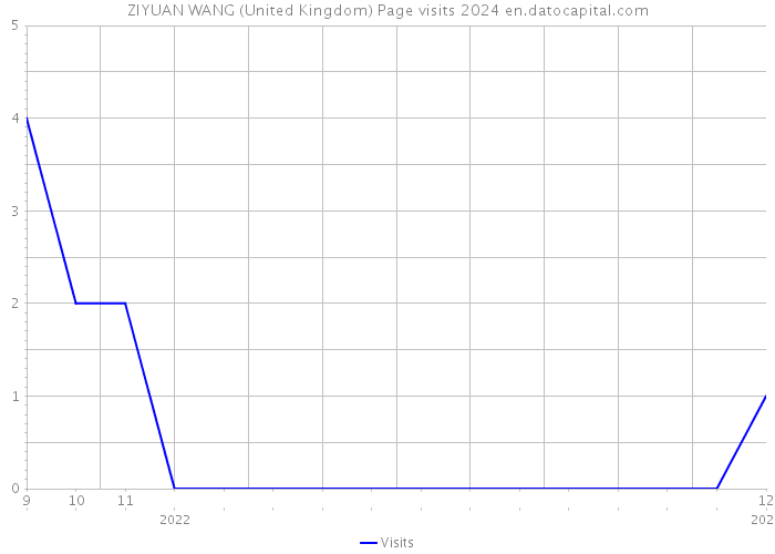 ZIYUAN WANG (United Kingdom) Page visits 2024 