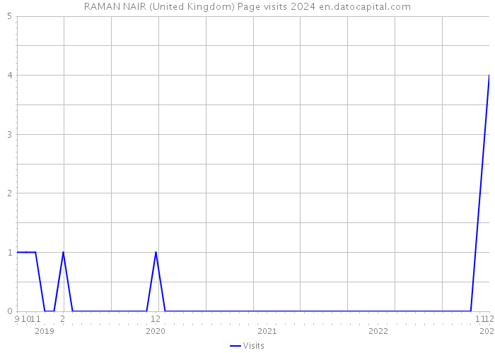 RAMAN NAIR (United Kingdom) Page visits 2024 