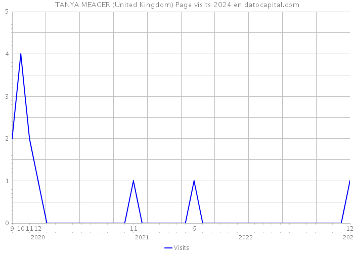 TANYA MEAGER (United Kingdom) Page visits 2024 