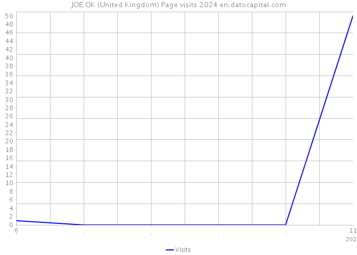 JOE OK (United Kingdom) Page visits 2024 
