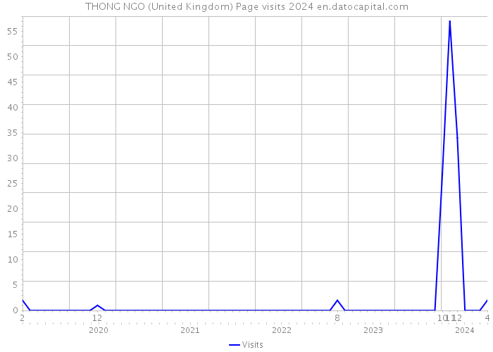 THONG NGO (United Kingdom) Page visits 2024 