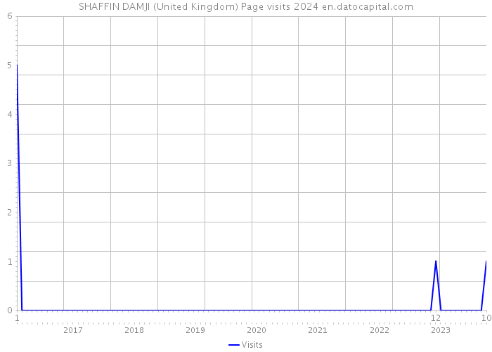 SHAFFIN DAMJI (United Kingdom) Page visits 2024 