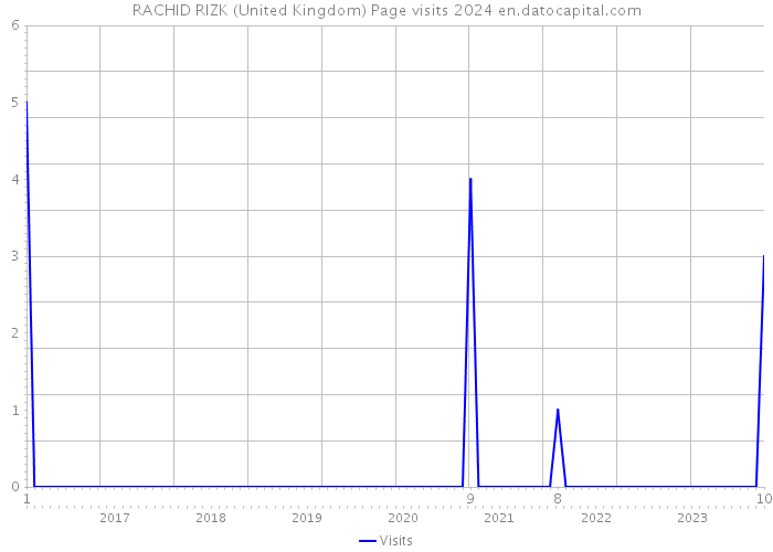 RACHID RIZK (United Kingdom) Page visits 2024 
