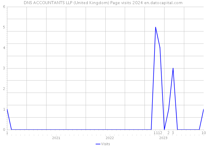 DNS ACCOUNTANTS LLP (United Kingdom) Page visits 2024 