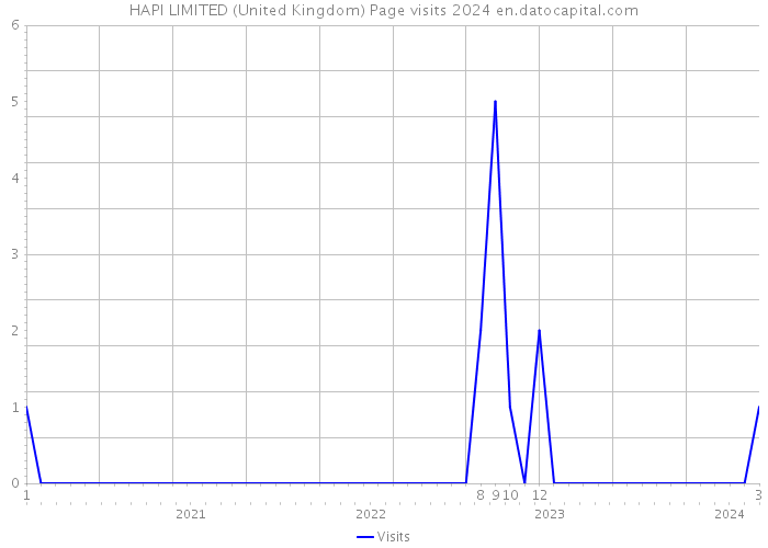 HAPI LIMITED (United Kingdom) Page visits 2024 