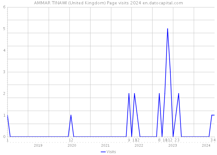 AMMAR TINAWI (United Kingdom) Page visits 2024 
