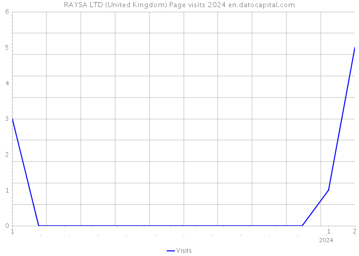 RAYSA LTD (United Kingdom) Page visits 2024 