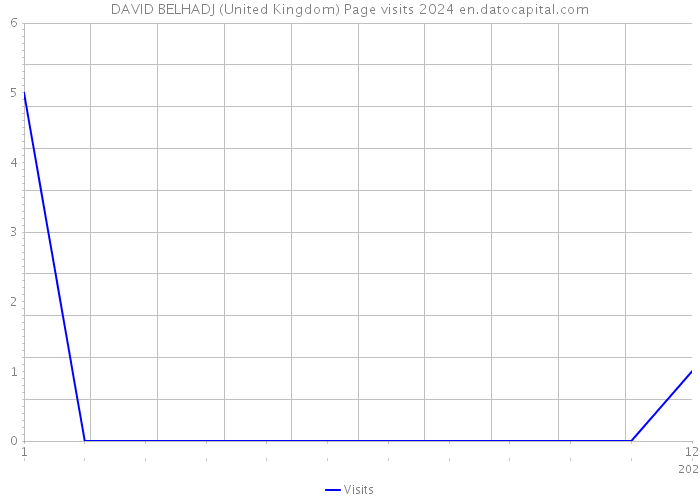 DAVID BELHADJ (United Kingdom) Page visits 2024 