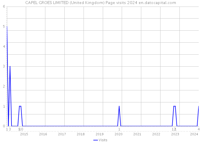 CAPEL GROES LIMITED (United Kingdom) Page visits 2024 