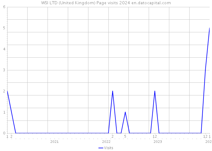 WSI LTD (United Kingdom) Page visits 2024 