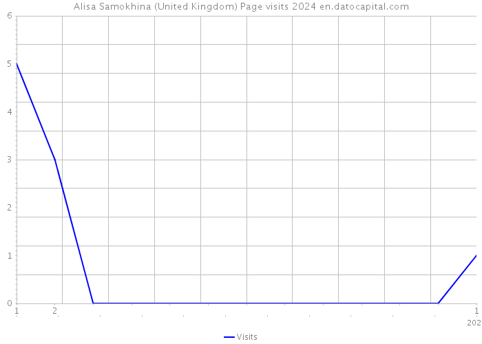 Alisa Samokhina (United Kingdom) Page visits 2024 