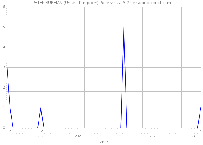 PETER BUREMA (United Kingdom) Page visits 2024 