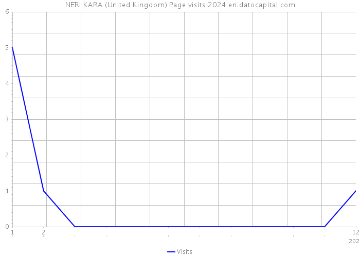 NERI KARA (United Kingdom) Page visits 2024 