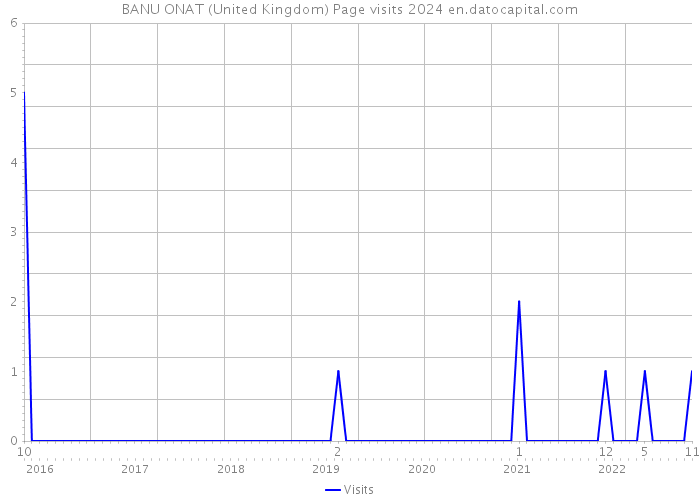 BANU ONAT (United Kingdom) Page visits 2024 