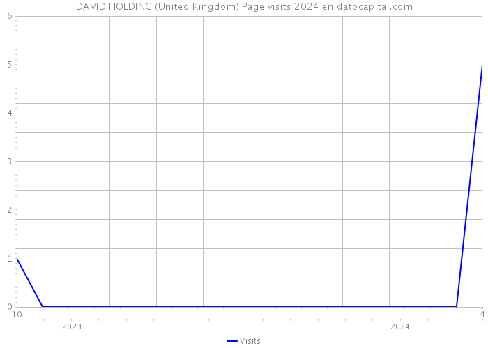 DAVID HOLDING (United Kingdom) Page visits 2024 