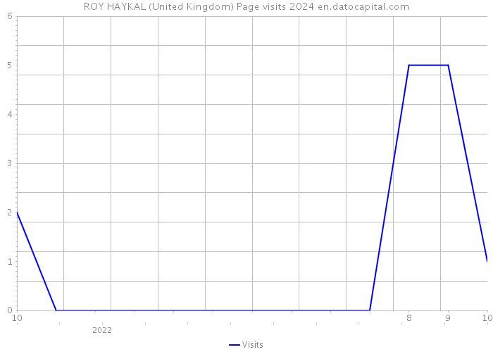 ROY HAYKAL (United Kingdom) Page visits 2024 