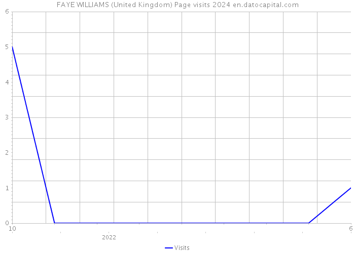 FAYE WILLIAMS (United Kingdom) Page visits 2024 
